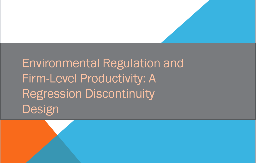 Environmental Regulation and Firm-Level Productivity: A Regression Discontinuity Design